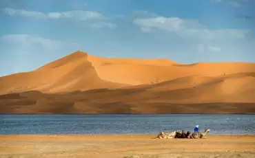 As Bênçãos do Deserto